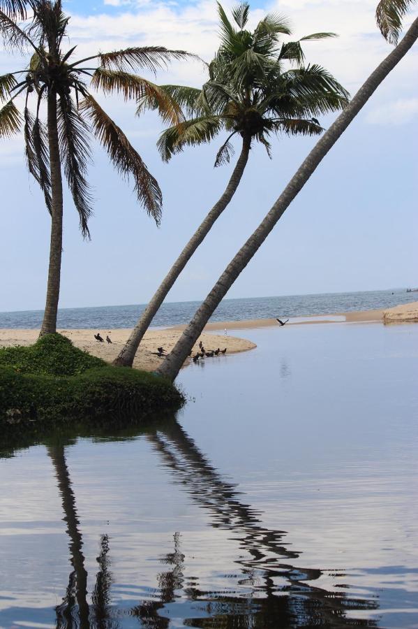 Telma Beach Homestay Марарикулам Экстерьер фото